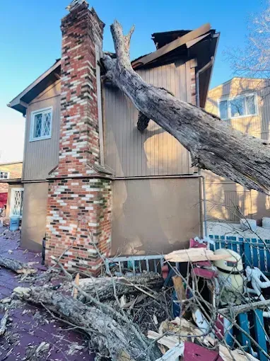 Damaged house with large tree trunk crushing the roof and brick chimney, debris in the yard