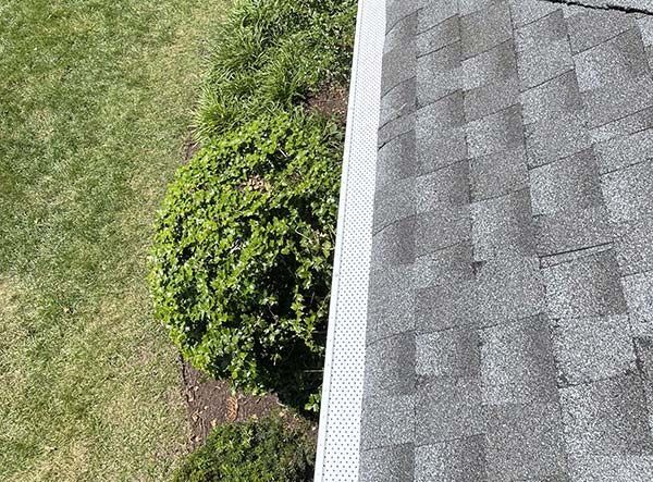 Roof edge beside green bush and grassy yard, viewed from above