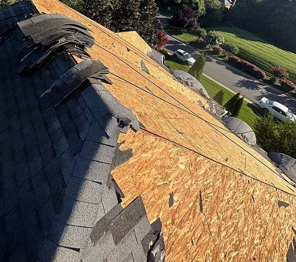 Roof under construction with exposed plywood sheathing and dark shingles beside a street and trees