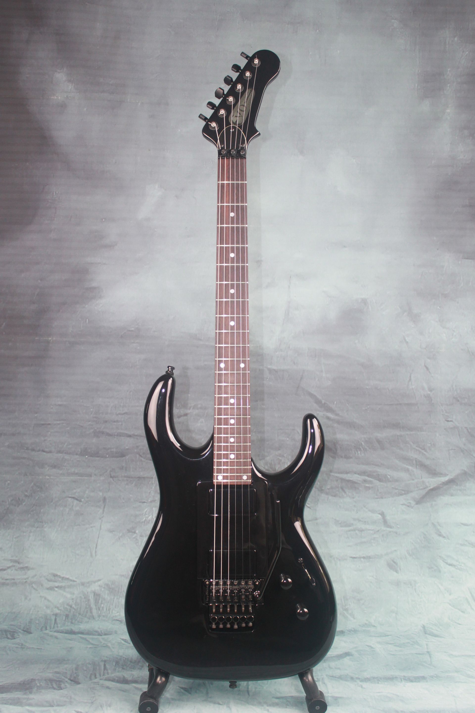 Black Winter Gitaar