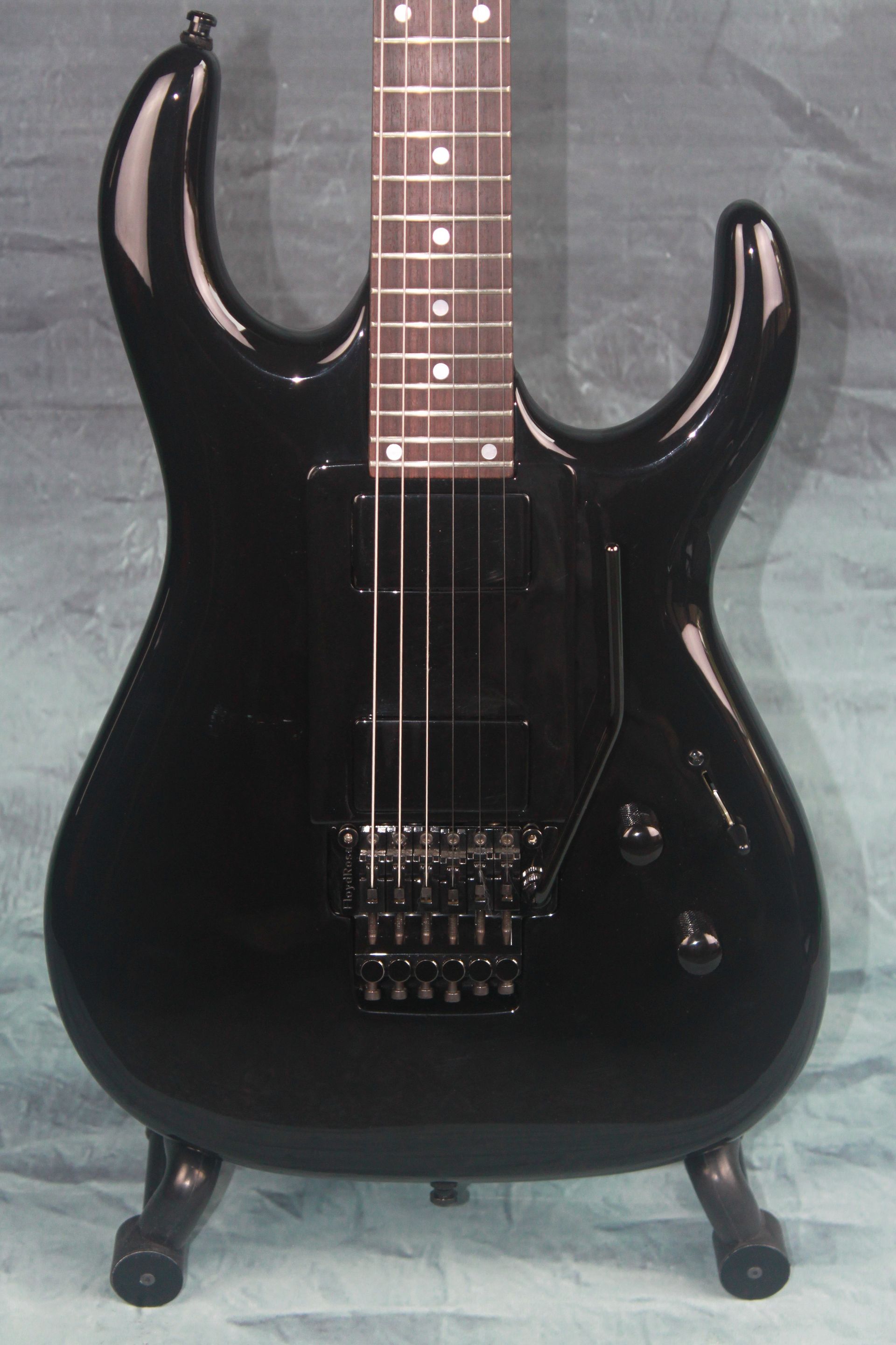 Black Winter Gitaar