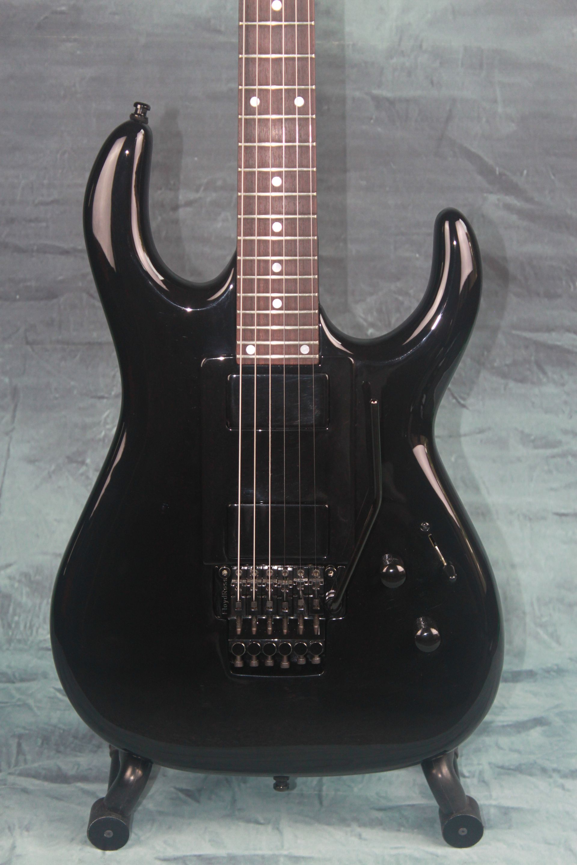Black Winter Gitaar