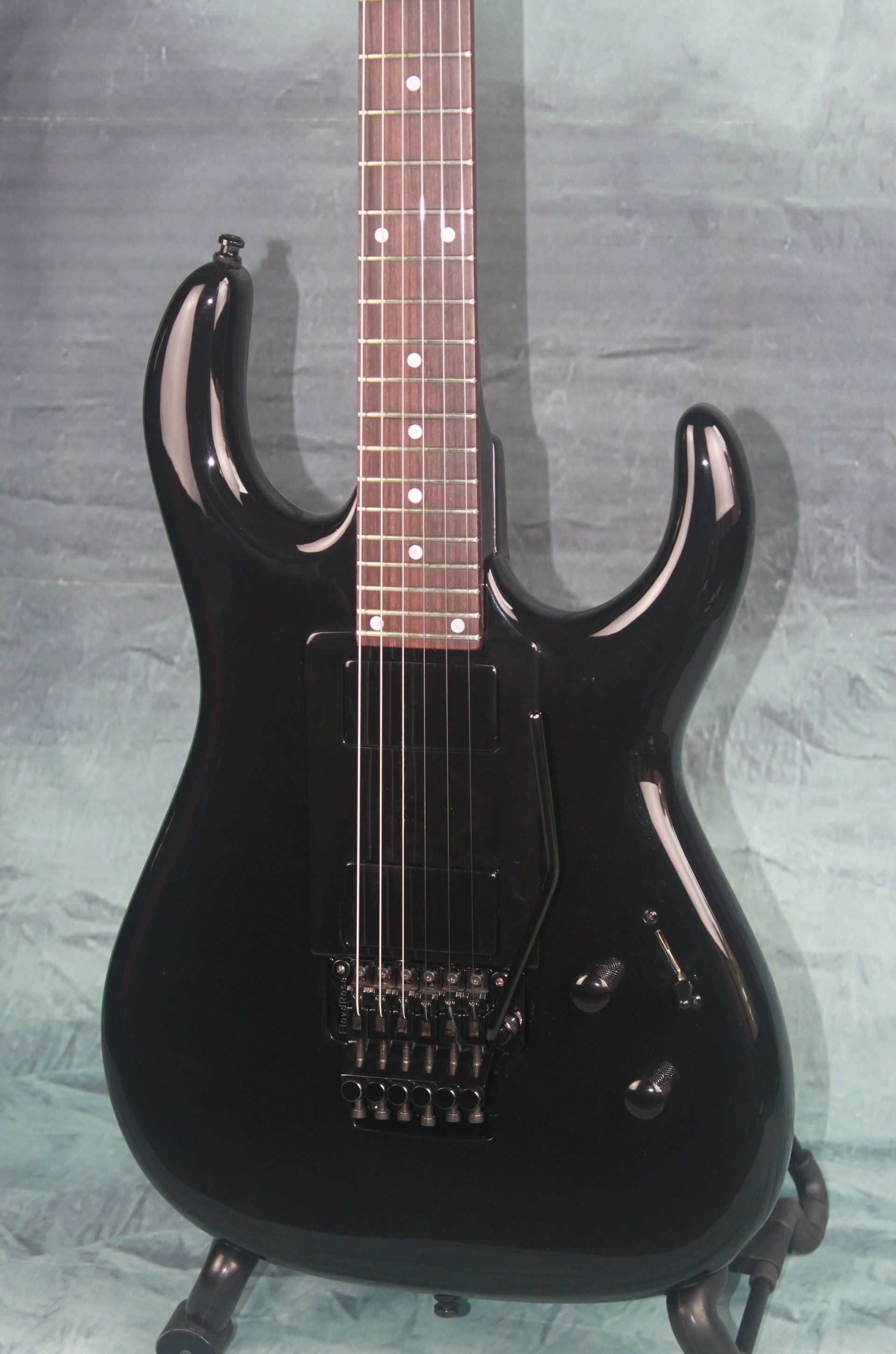 Black Winter Gitaar