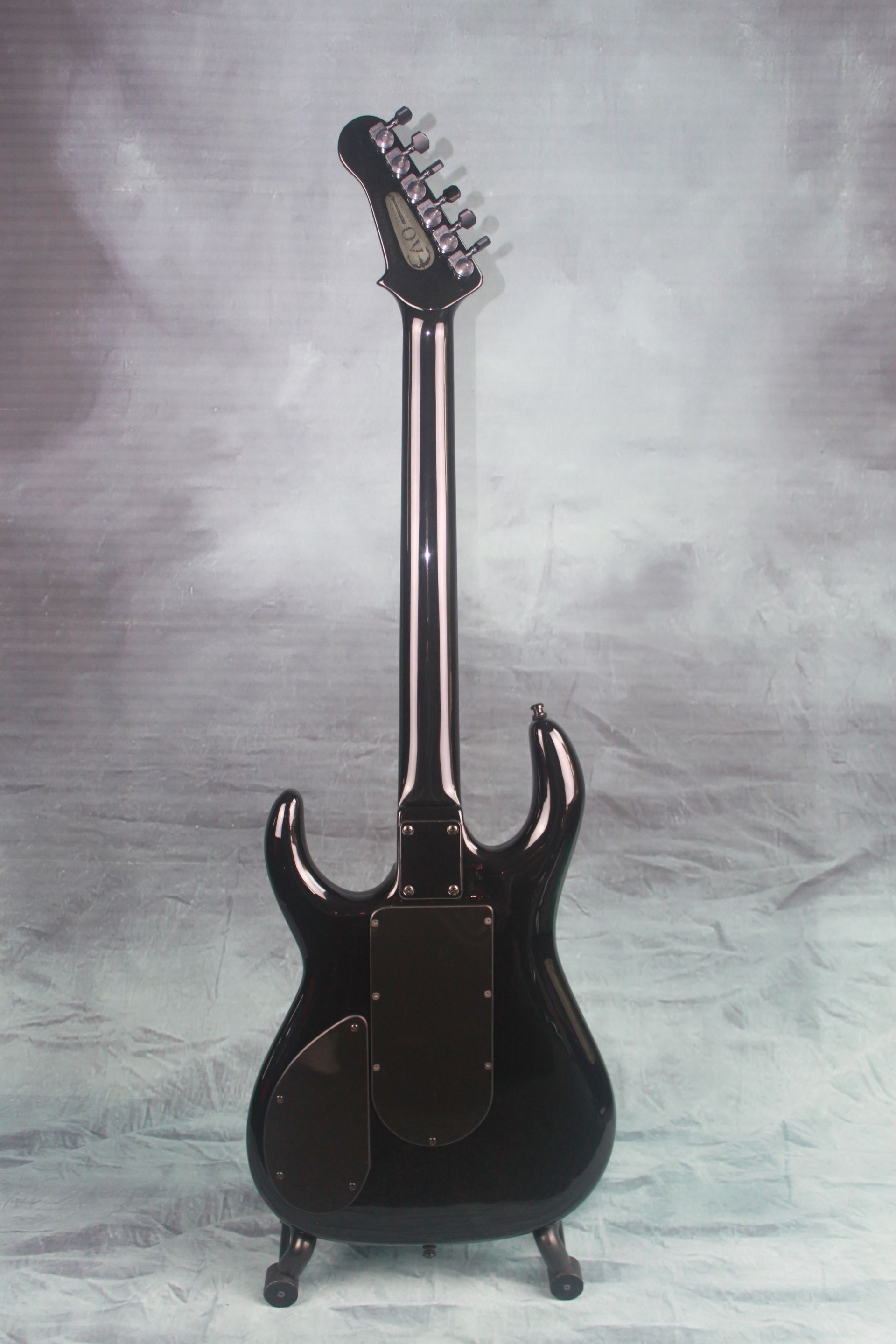 Black Winter Gitaar