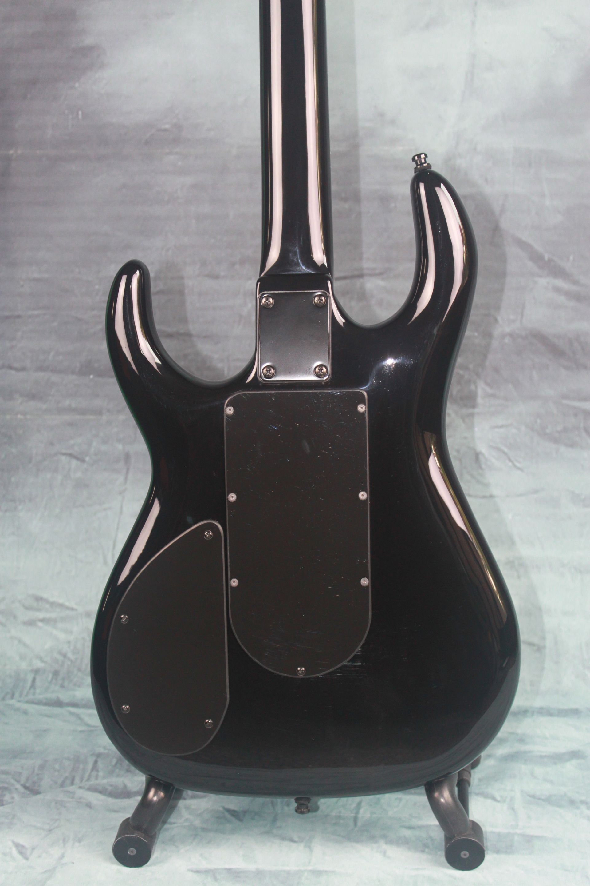 Black Winter Gitaar