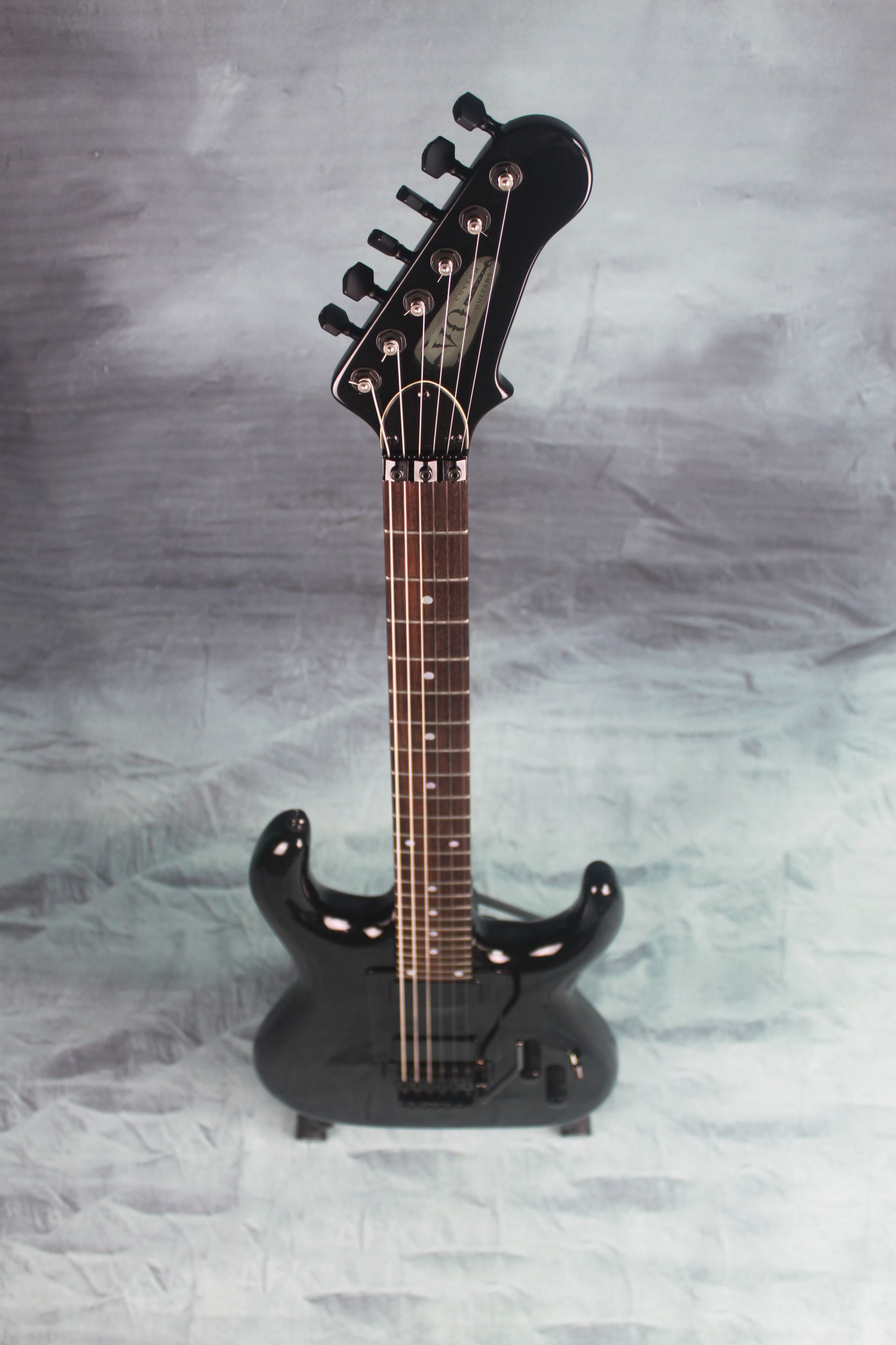 Black Winter Gitaar