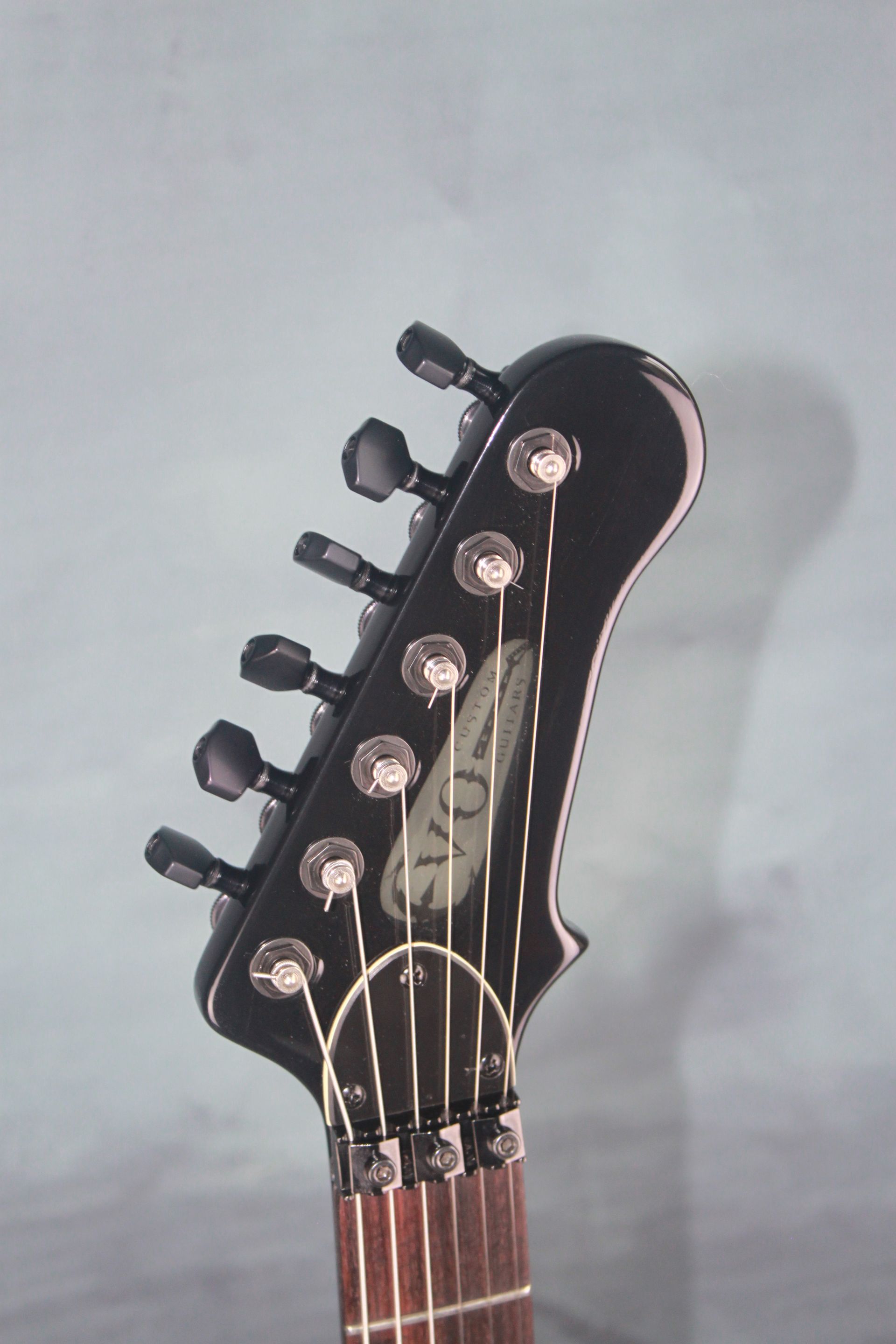 Black Winter Gitaar