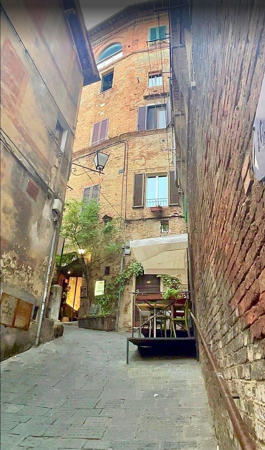 Narrow cobblestone alley between tall brick buildings with a small utility cart and vines near a doorway