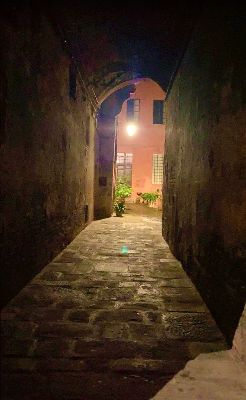 Narrow stone alley leading to a lit courtyard with potted plants and a pink building at night