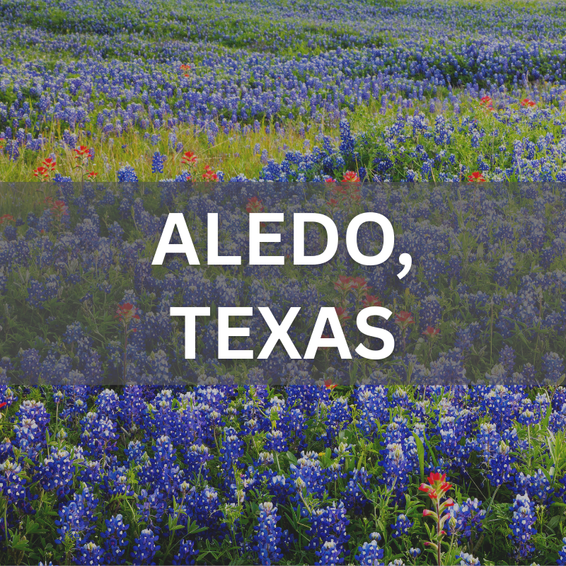 Explore homes and neighborhoods in Aledo, TX — where real estate meets scenic bluebonnet views. Aledo, Texas real estate surrounded by blooming bluebonnets, showcasing local neighborhoods and natural beauty.