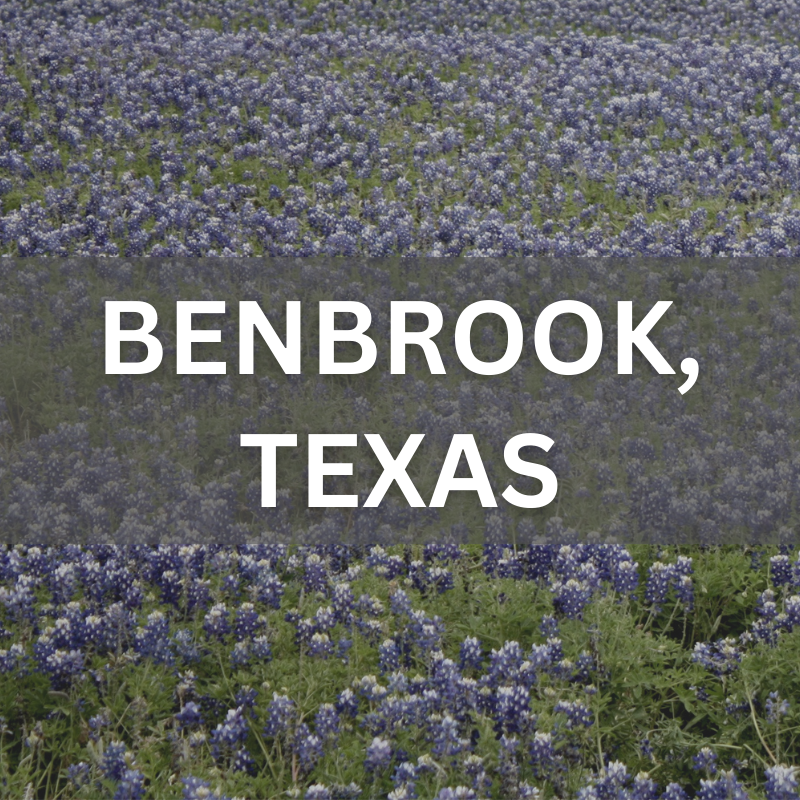 Benbrook real estate — near lakefront views and seasonal bluebonnets Bluebonnets near Benbrook Lake — a serene backdrop for Texas homes and outdoor living