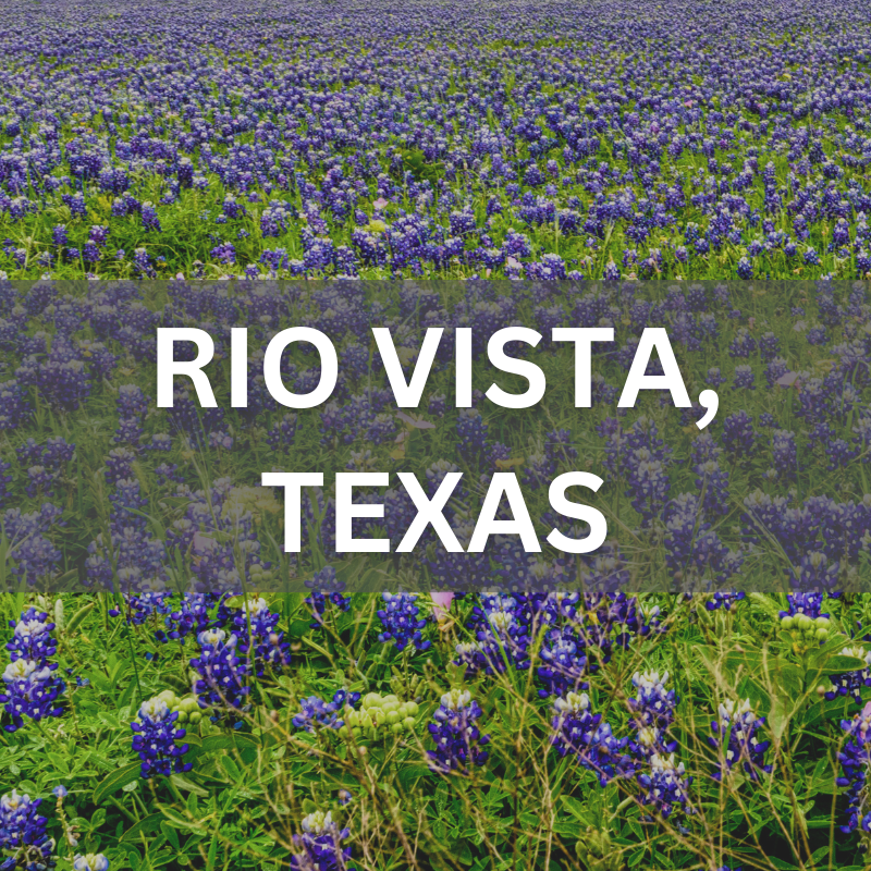 Explore homes and neighborhoods in Rio Vista, TX — where real estate meets scenic bluebonnet views. Rio Vista, Texas real estate surrounded by blooming bluebonnets, showcasing local neighborhoods and natural beauty.