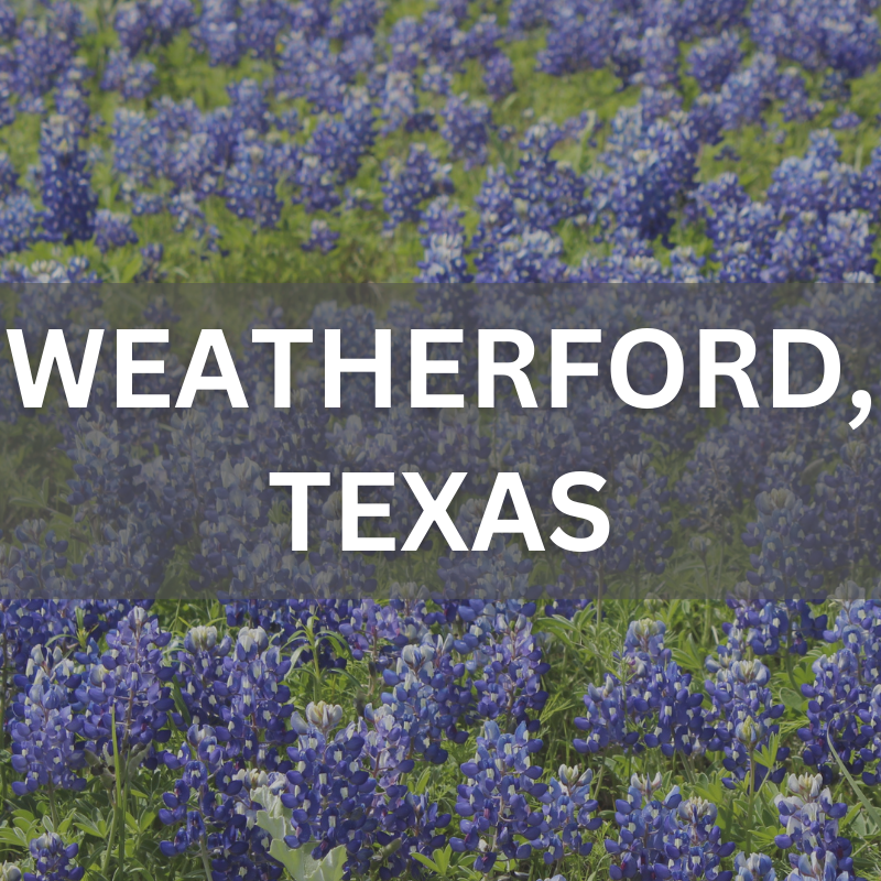 Explore homes and neighborhoods in Weatherford, TX — where real estate meets scenic bluebonnet views. Weatherford, Texas real estate surrounded by blooming bluebonnets, showcasing local neighborhoods and natural beauty.