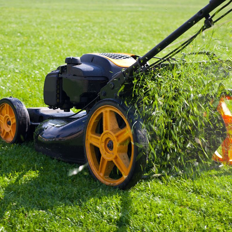 Lawn Mowing Lawn Mowing