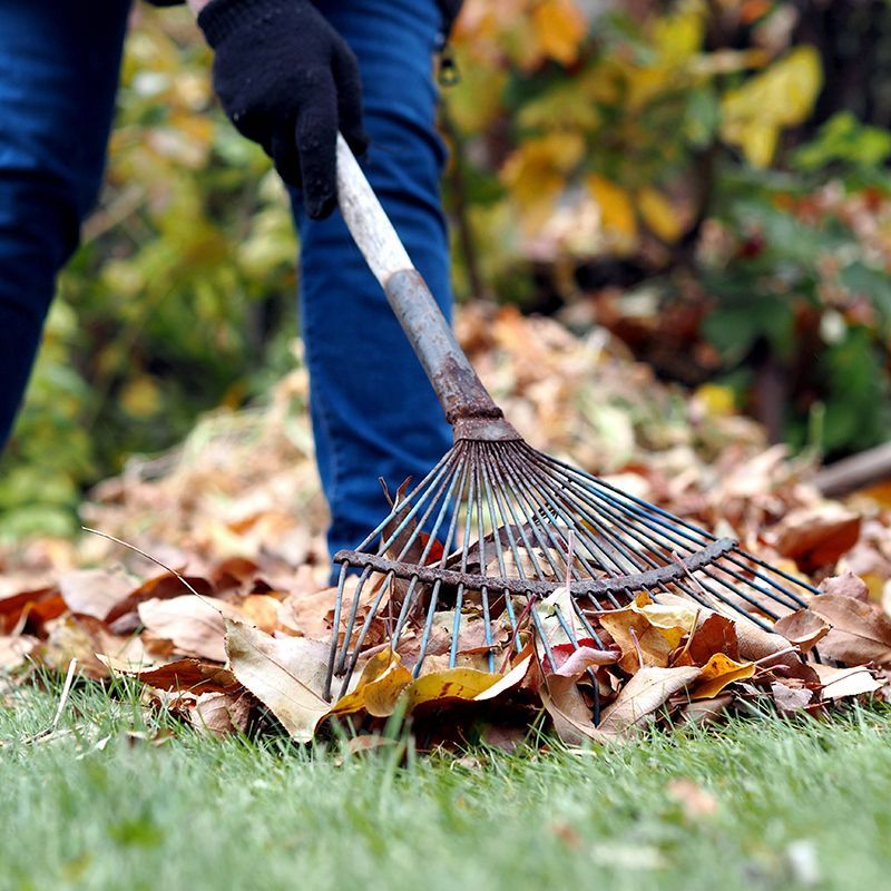Spring Cleanups
