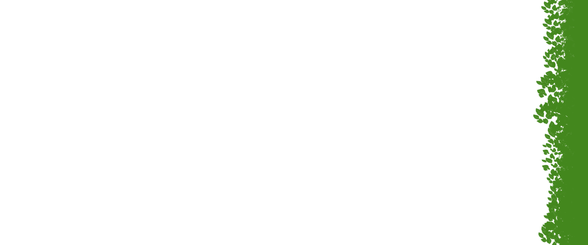 Custom BG