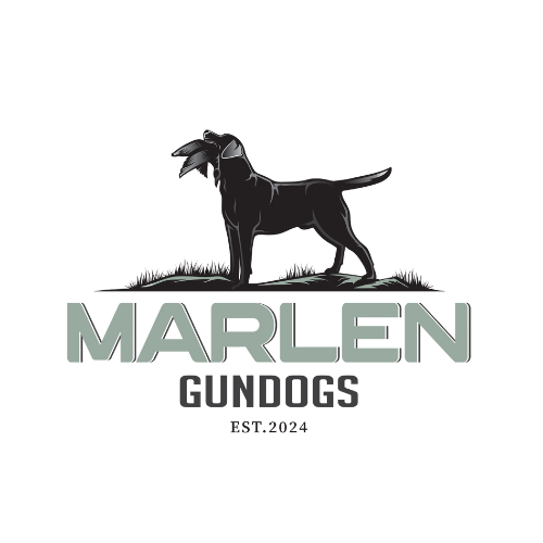 Logo for Marlen Gundogs: a black dog carrying a duck, with text