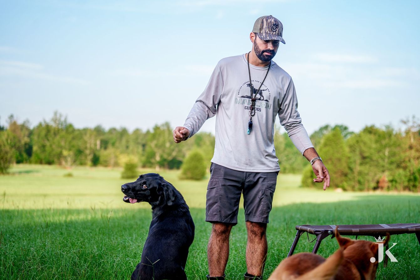 A person in a camouflage cap and long-sleeved shirt standing in a grassy field with two dogs, one black and one brown.