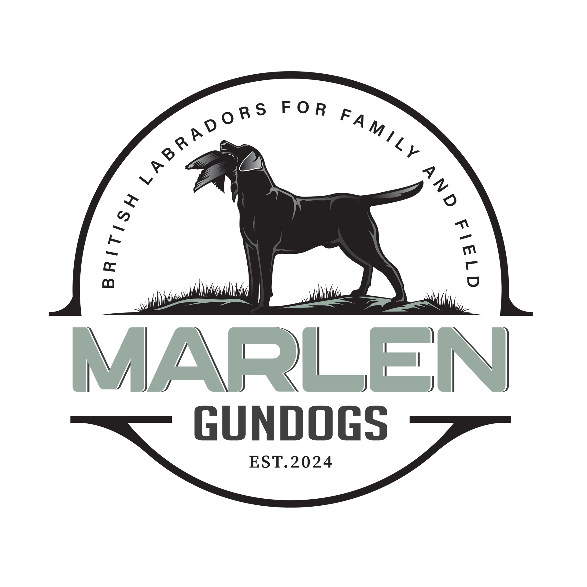 A logo for Marlen Gundogs featuring a black Labrador holding a bird, with the text