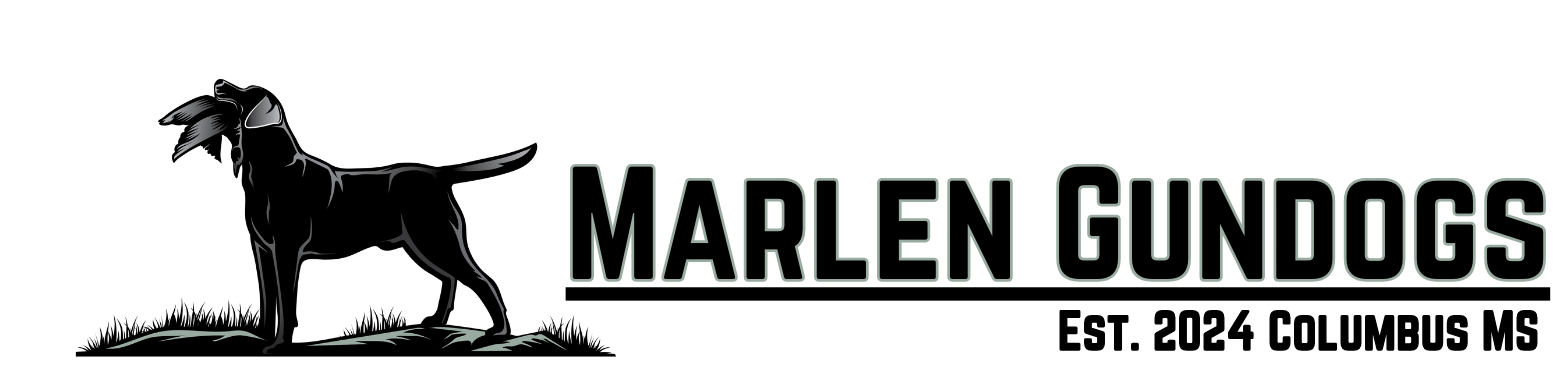 Black logo of a hunting dog holding a bird in its mouth, with text: MARLEN GUNDOGS, EST. 2024 COLUMBUS MS.