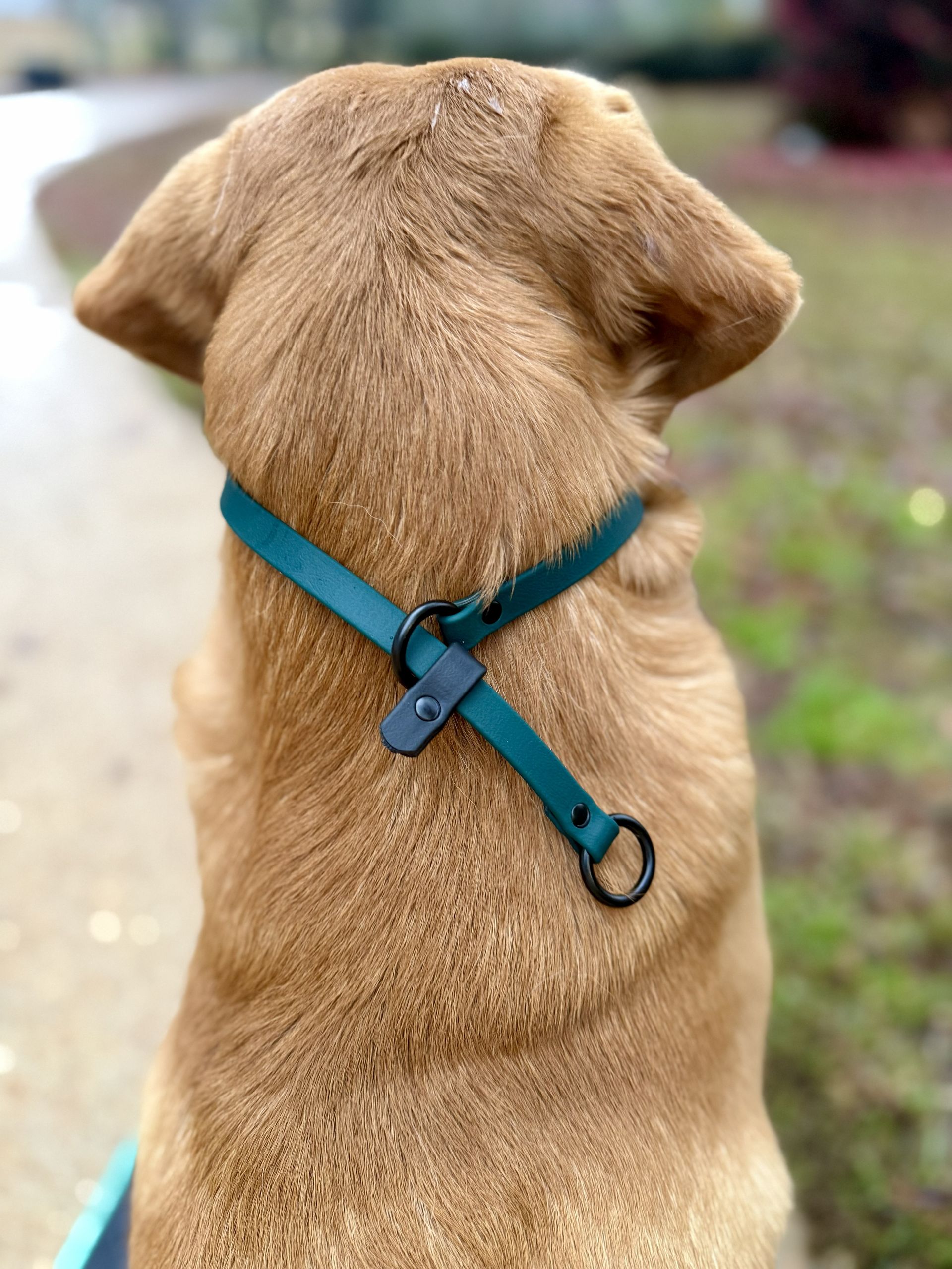 Slip Collar