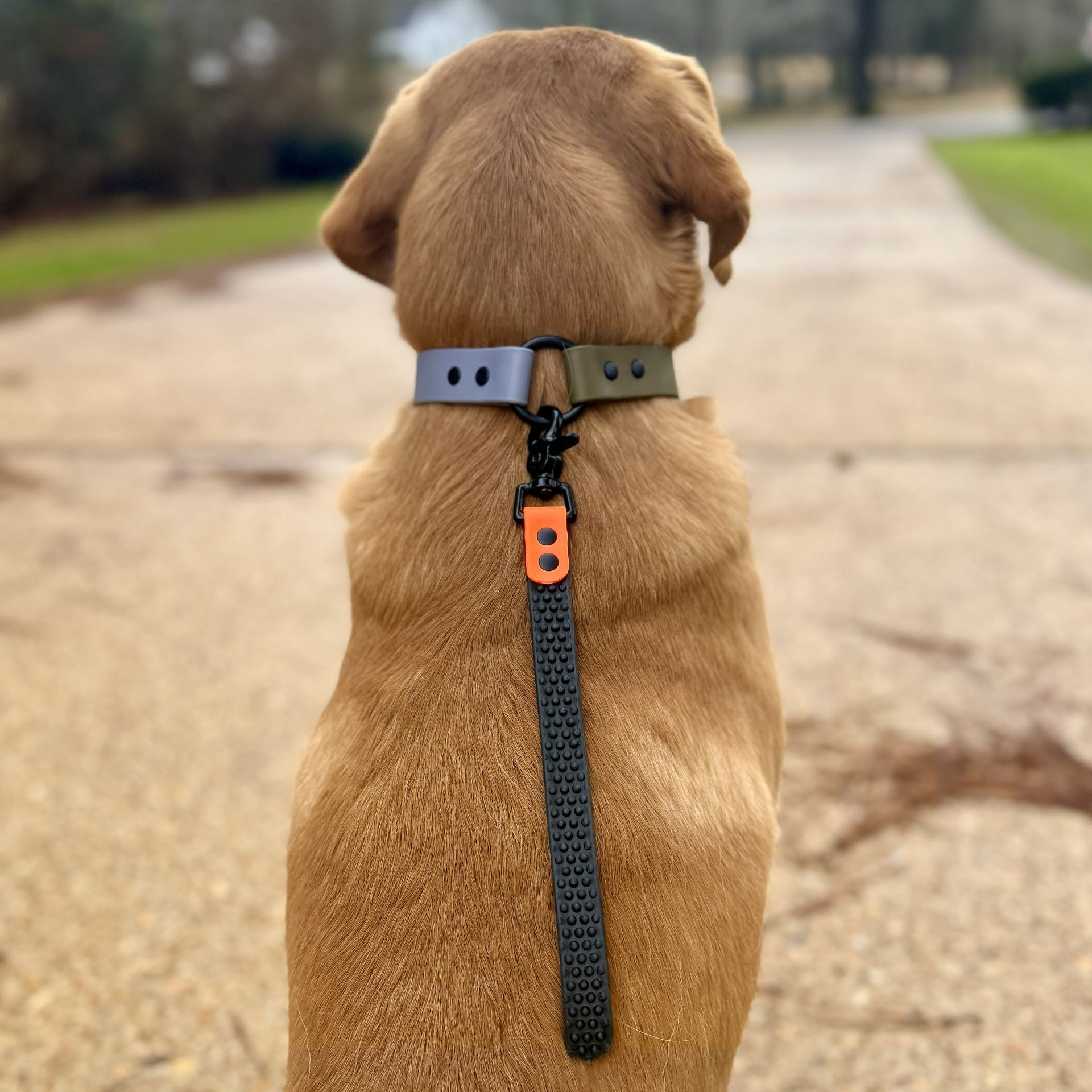 A textured grey strap attached to a black swivel clasp, accented with a bright orange rectangular detail.