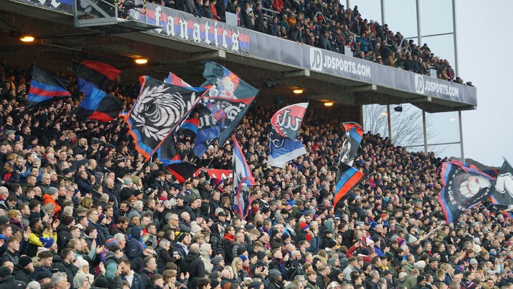 selhurst-park-celebrates