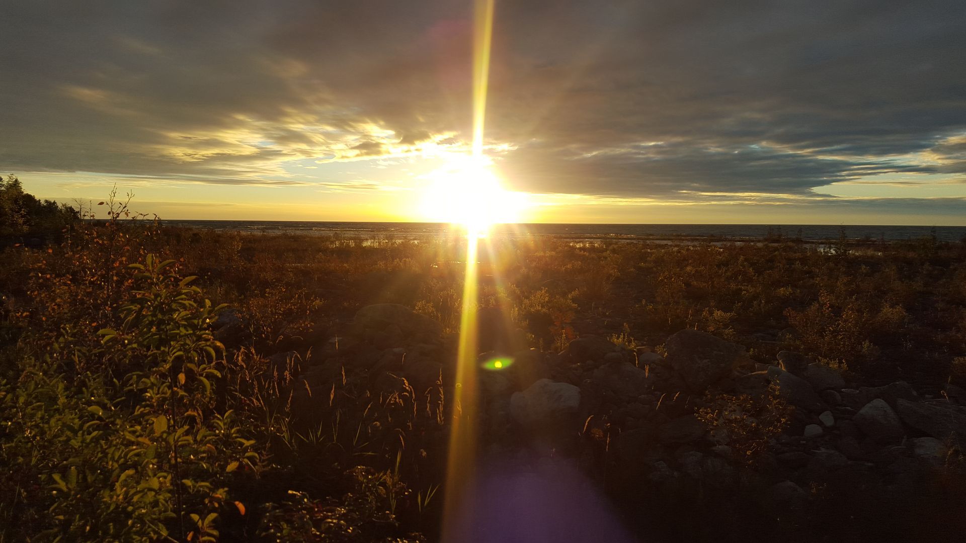 Sunrise over a grassy field with the sun low on the horizon and a cloudy sky