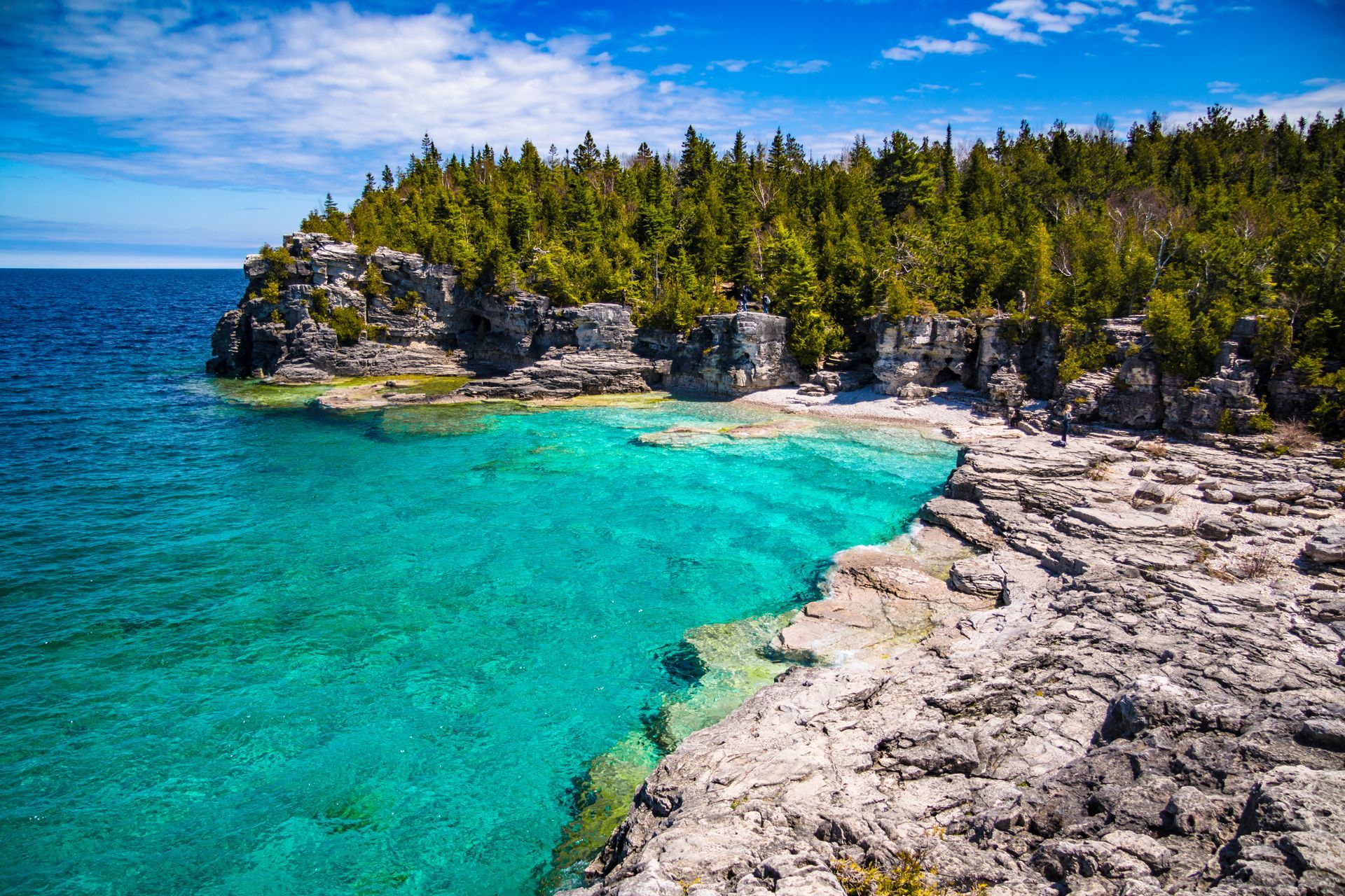 Turquoise cove with rocky shoreline, pine trees, and clear blue sky on a sunny day