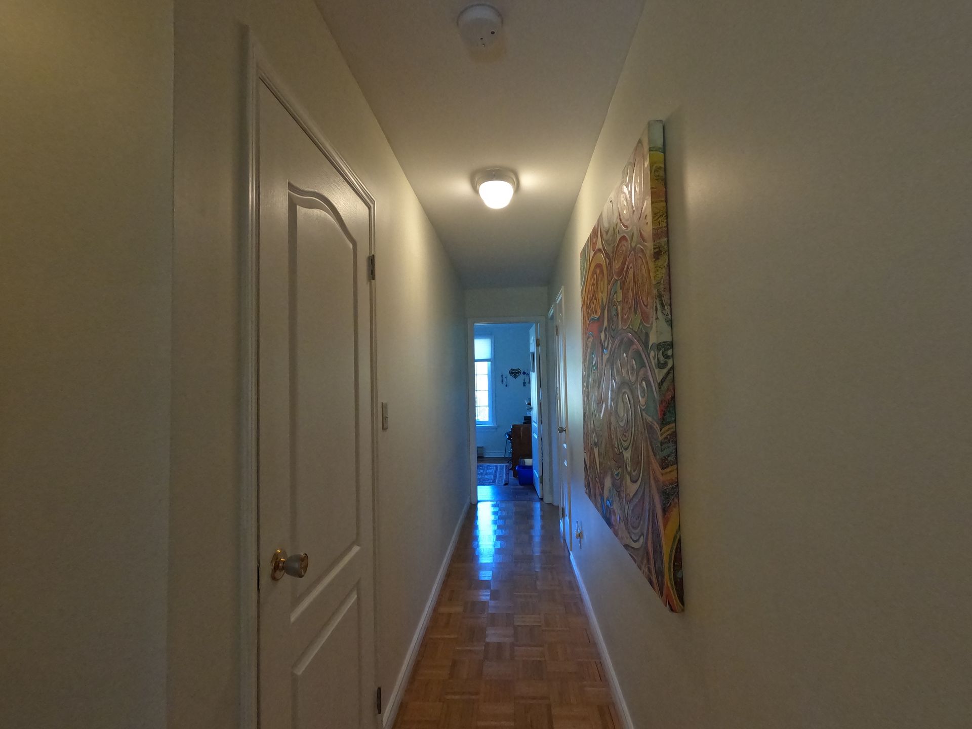 Narrow hallway with white doors, wood floor, ceiling light, and a colorful wall hanging at the end.