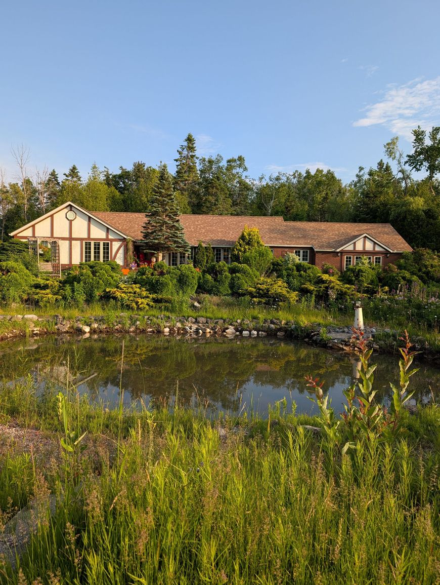Country cottage beside a pond, with red roof, green trees, and wildflowers in sunlight