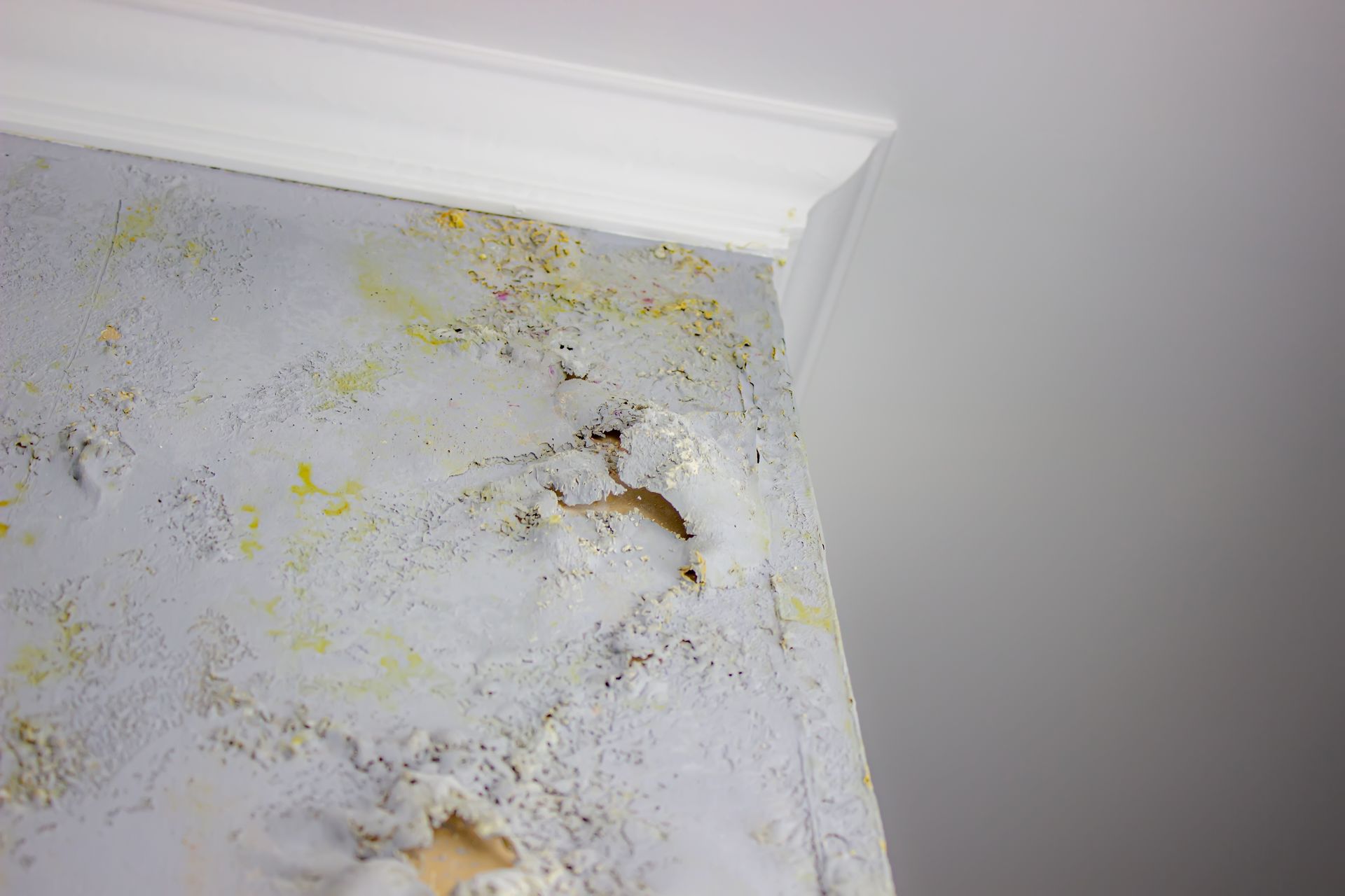 Mold and water damage on a white wall and ceiling corner near crown molding