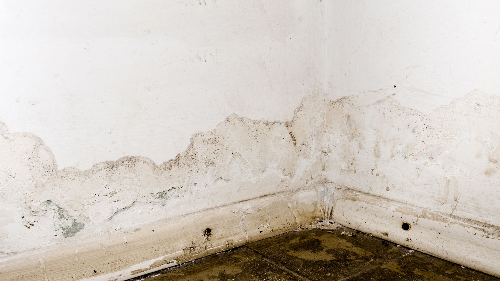 Water Damage Restoration