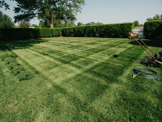 Freshly mowed grassy backyard with striped lawn, hedges, trees, and a lawn mower on the right