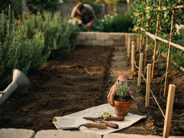 Freshly tilled garden bed with seedlings, a watering can, and a small trowel beside a woven mat