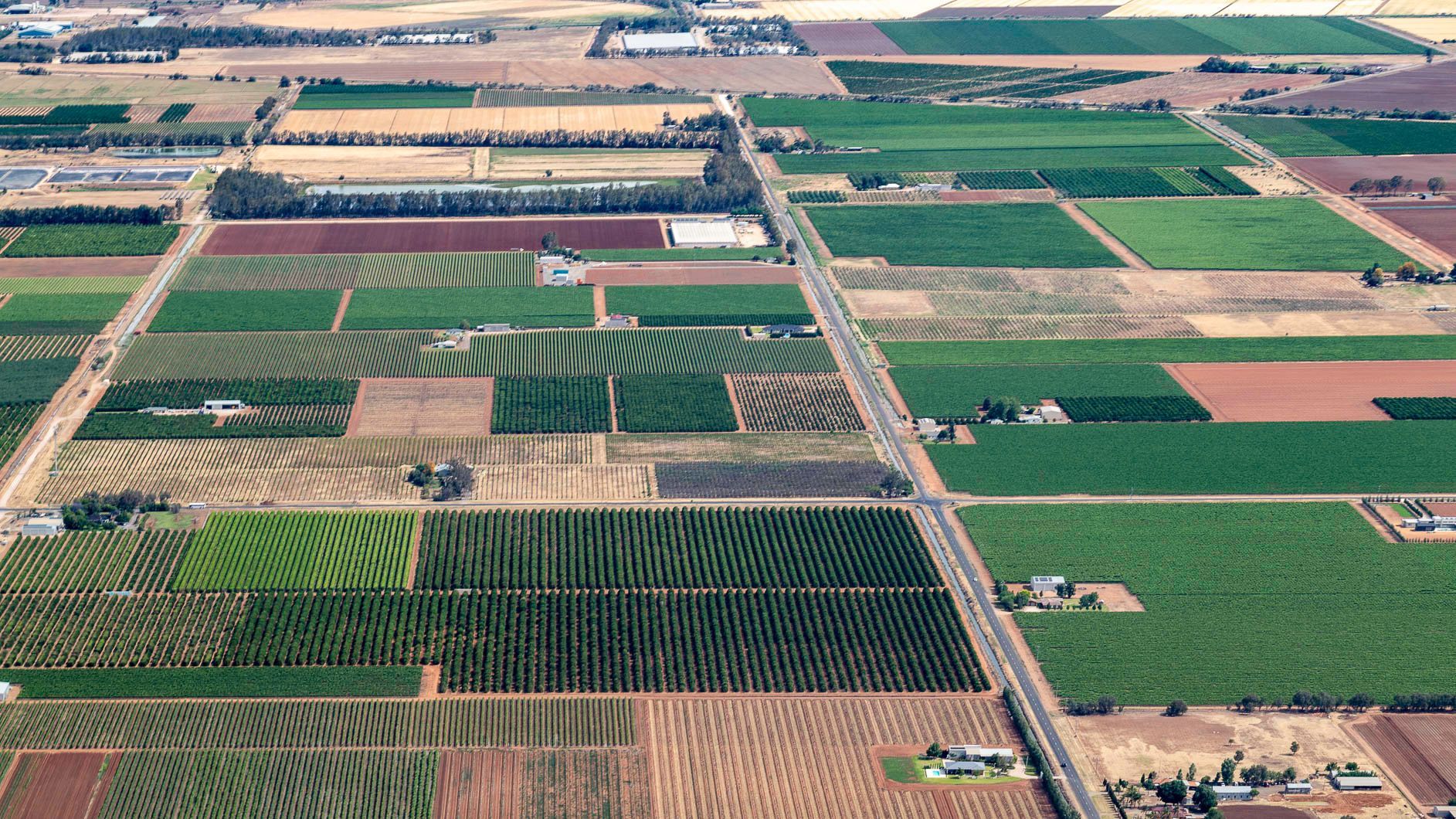 Aerial view of a patchwork of green, brown, and tan agricultural fields divided by dirt roads.