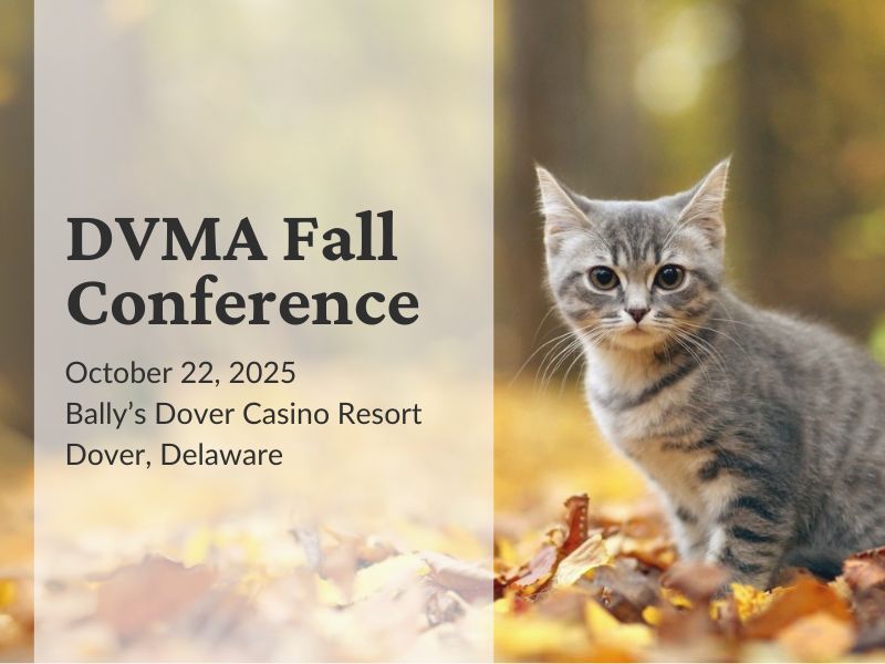 DEVMA Fall Conference logo