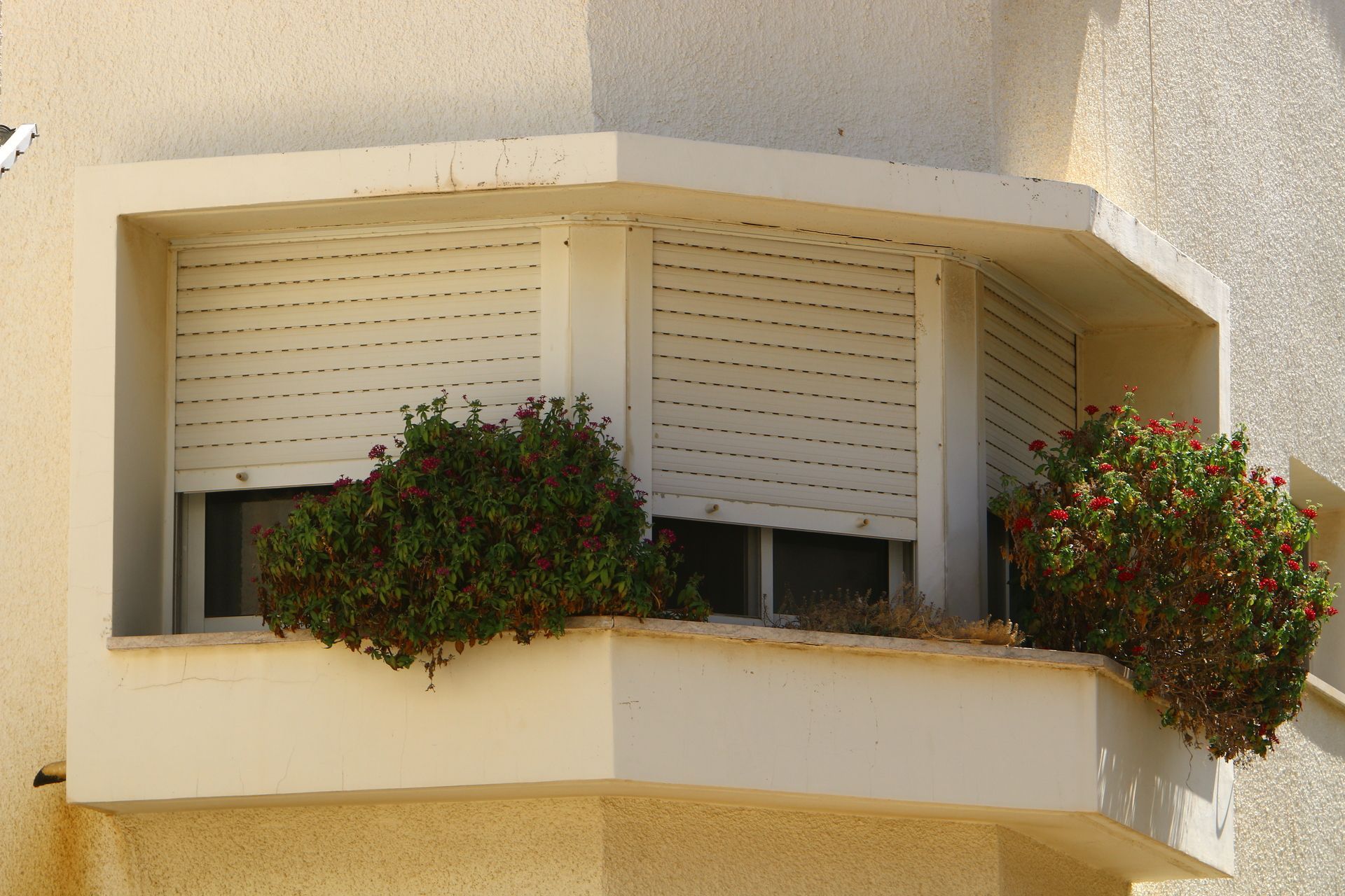 Window with closed blinds, small plants on a beige balcony of a light-colored building.