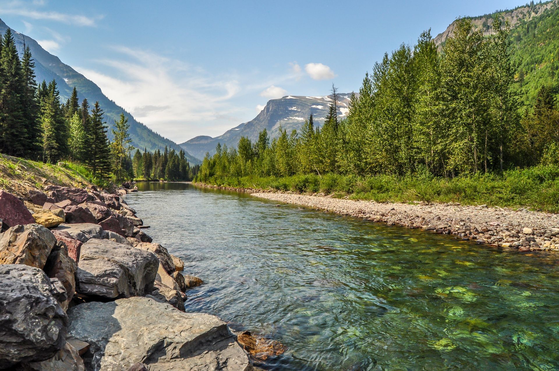 Mountain river flowing through pine forest with rocky banks and snowcapped peaks in the distance