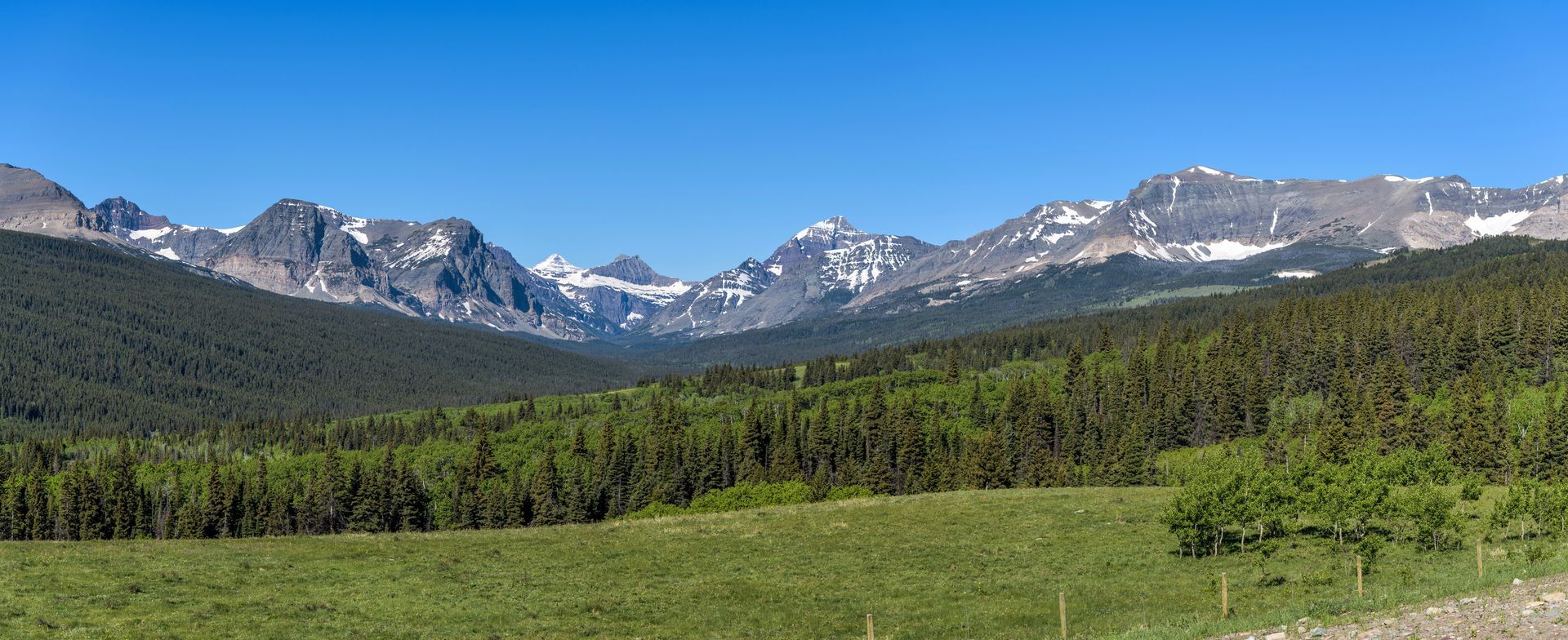 Mountain range with snow-capped peaks above a green meadow and pine forest under a clear blue sky