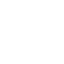 Driver Icon
