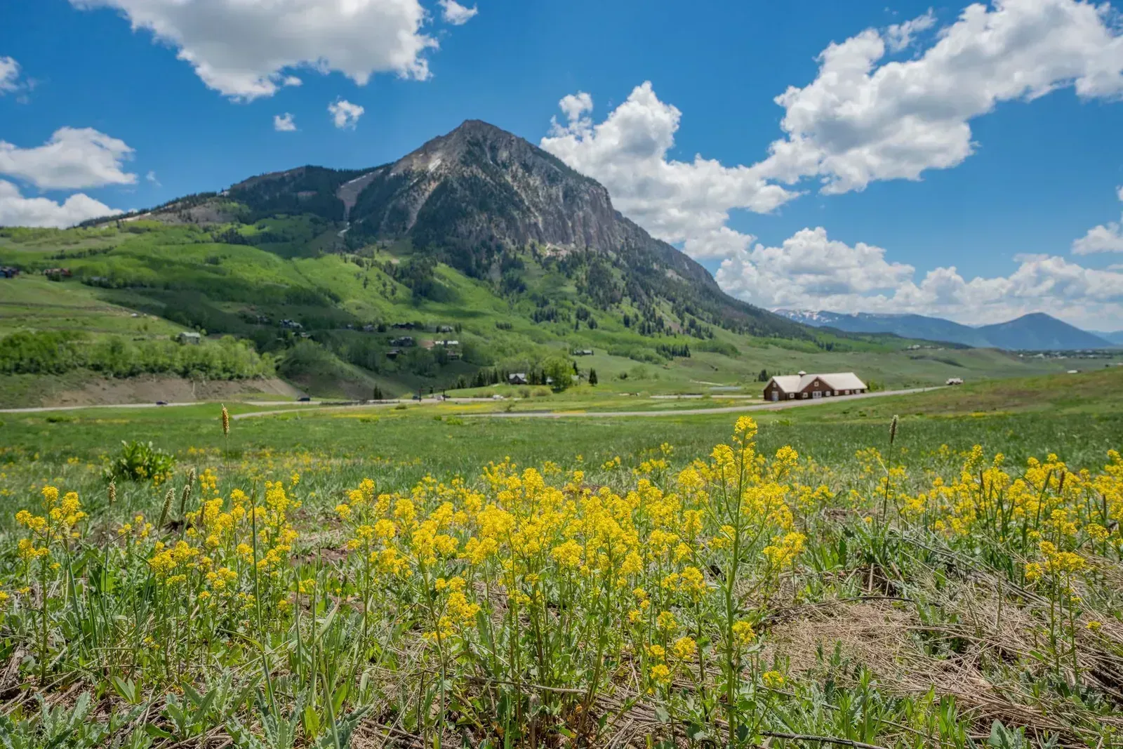Mountain landscape with green fields, yellow wildflowers, and a snowy peak under a blue sky