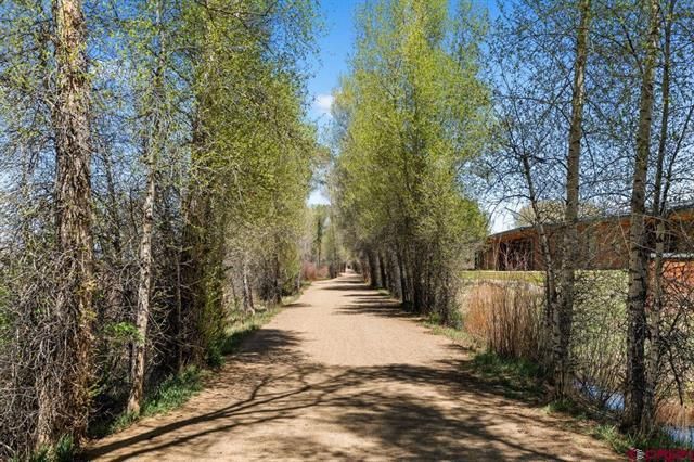 Tree-lined dirt path with spring greenery and a house behind a fence on the right