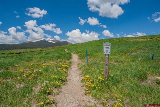 Mountain trail through a green meadow under a blue sky with clouds, marked by a trail sign.