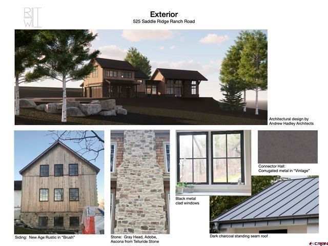 Exterior rendering and design details of a stone-and-wood lodge-style house with windows, siding, and roof close-ups