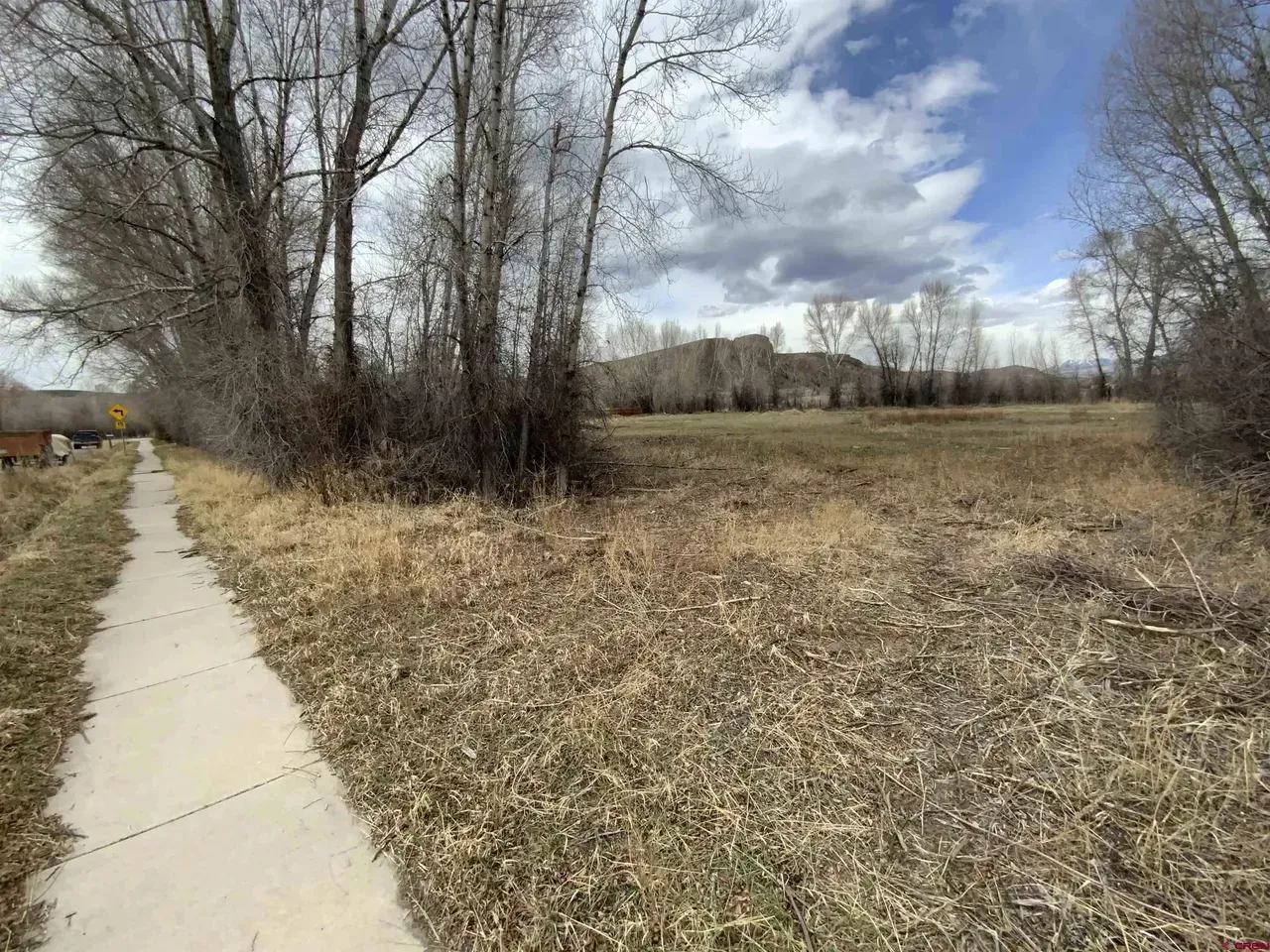Sidewalk beside a dry grassy field and leafless trees under a cloudy sky