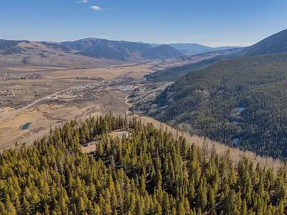 Mountain ridge with dense evergreen forest overlooking a wide valley and distant hills