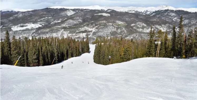 Snow-covered ski slope with pine trees and mountain ridge in the background