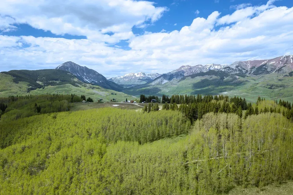 Mountain meadow with green hills, wildflowers, and snowy peaks under a cloudy blue sky