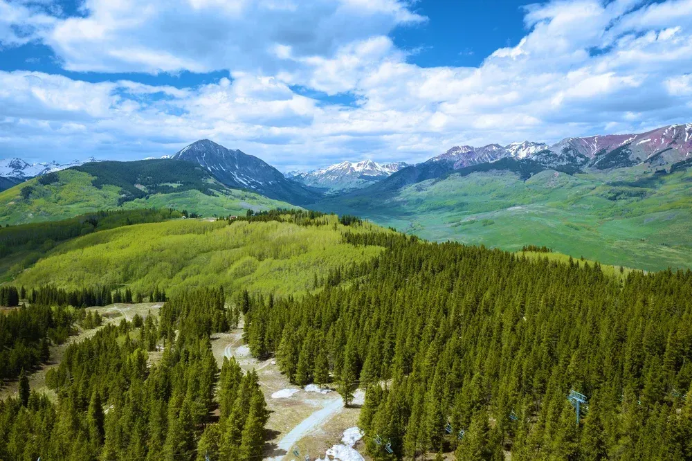 Mountain landscape with green valleys, pine forest, winding road, and blue sky over distant peaks